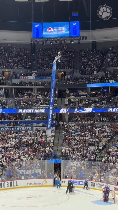 Video post by @avsbernie on Instagram