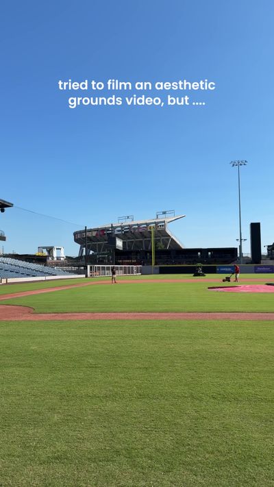 Video post by @gosquirrels on TikTok