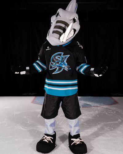 Image post by @sjbarracuda on Twitter