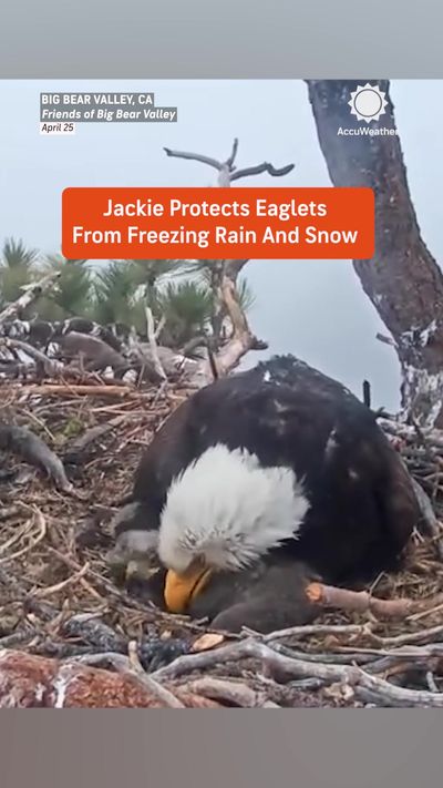 Video post by @accuweather on TikTok