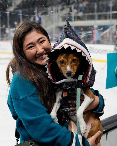 Image post by @sjbarracuda on Twitter