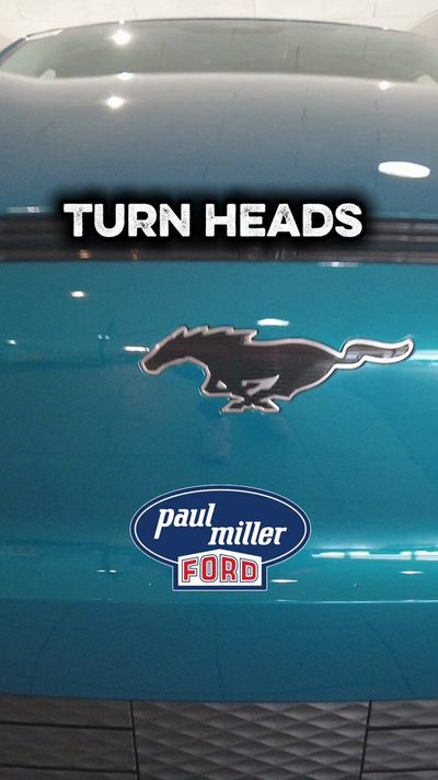 Video post by @PaulMillerKY on Twitter