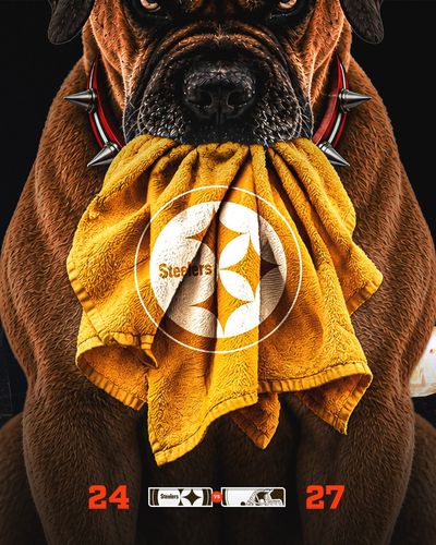 Image post by @Browns on Twitter/X