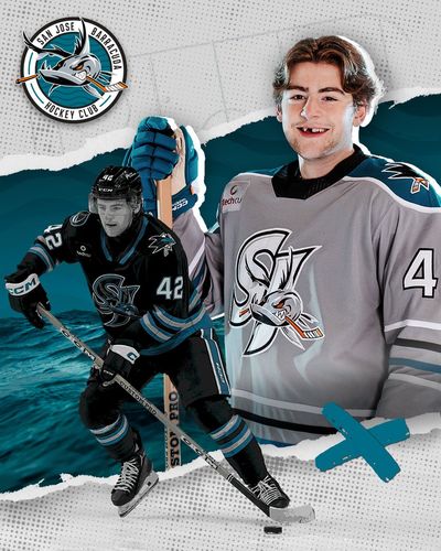 Image post by @sjbarracuda on Twitter