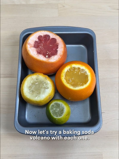 Video post by @kiwico_inc on TikTok