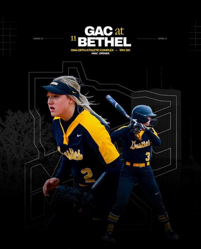 Image post by @gustiesoftball on Instagram