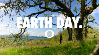 Video post by @GoDucks on Twitter