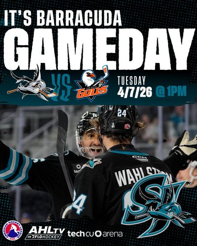 Image post by @sjbarracuda on Twitter