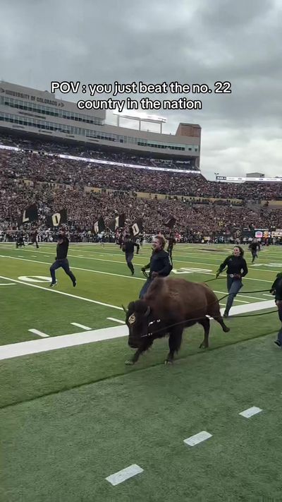 Video post by @colorado_buffaloes on TikTok
