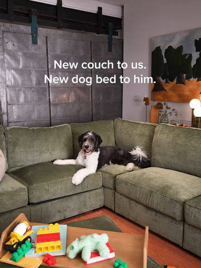 Video post by @lovesac on TikTok