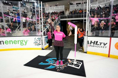 Image post by @sjbarracuda on Twitter