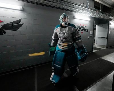 Image post by @sjbarracuda on Twitter