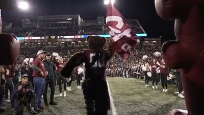 Video post by @MontanaGrizFB on Twitter