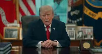 Video post by @realDonaldTrump on Twitter/X