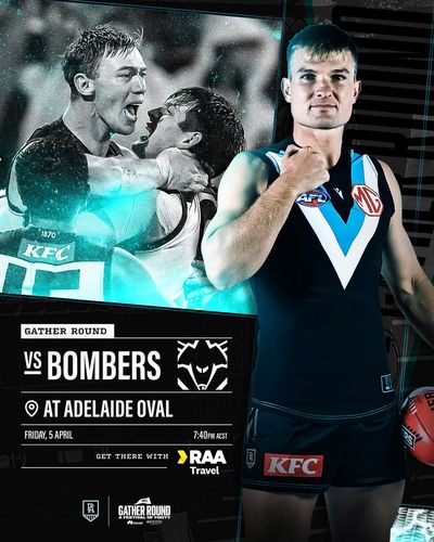 Image post by @PAFC on Twitter