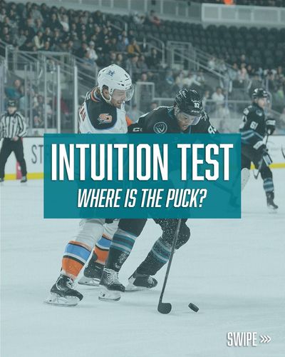 Image post by @sjbarracuda on Instagram