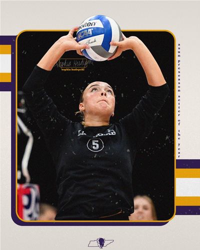 Image post by @LipscombVBall on Twitter