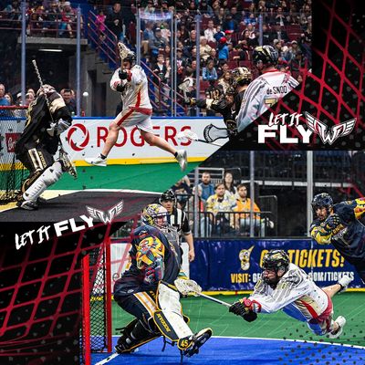 Image post by @NLLwings on Twitter