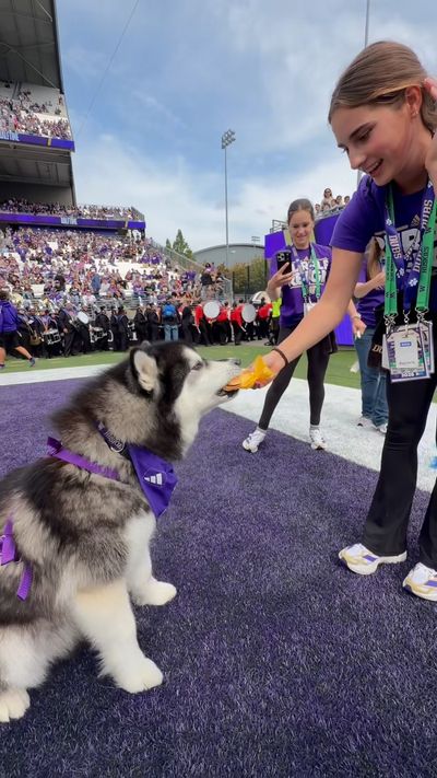 Video post by @dubs_uw on Instagram