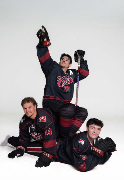 Video post by @cockhockey on TikTok