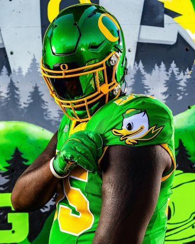 Image post by @goducks on Instagram