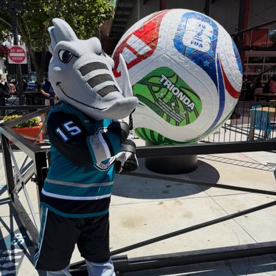 Image post by @sjbarracuda on Instagram