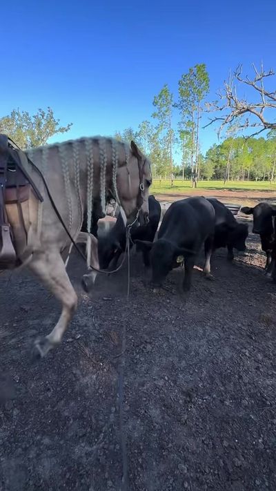 Video post by @326488683877065 on Facebook