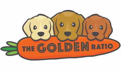 Image post by @TheGoldenRatio4 on Twitter