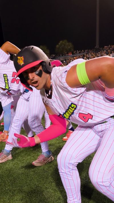 Video post by @thepartyanimals on Instagram