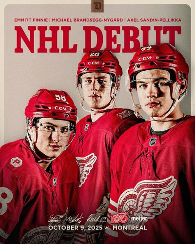 Image post by @DetroitRedWings on Twitter