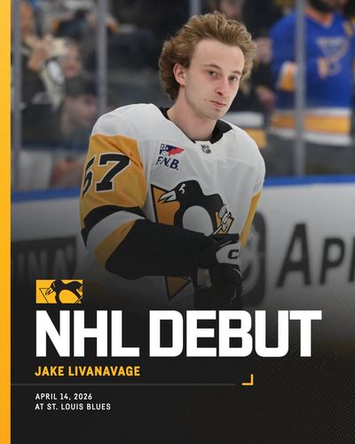 Image post by @penguins on Twitter