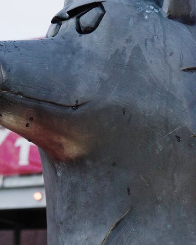 Video post by @WMU_Football on Twitter