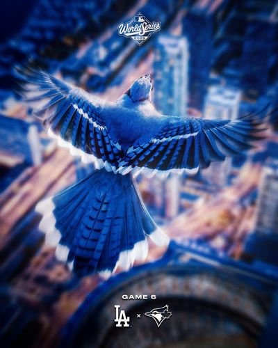 Image post by @BlueJays on Twitter