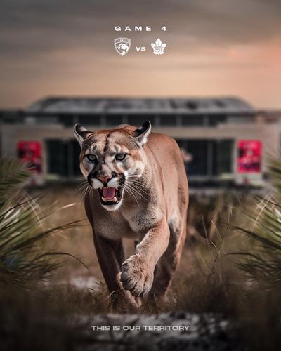 Image post by @flapanthers on Instagram