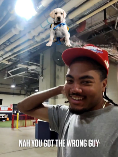 Video post by @nationals on TikTok