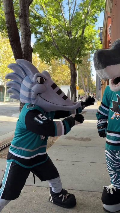 Video post by @sjbarracuda on Twitter/X
