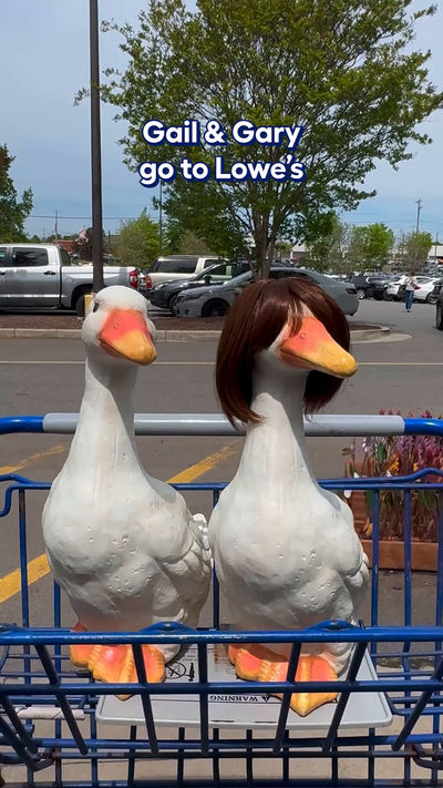 Video post by @lowes on Facebook