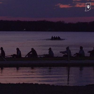 Video post by @IndianaRowing on Twitter