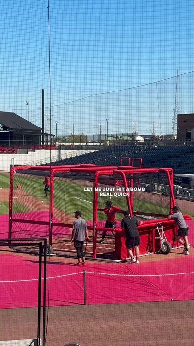 Video post by @gosquirrels on Instagram