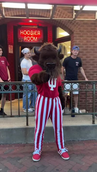 Video post by @hoosierthebison on TikTok