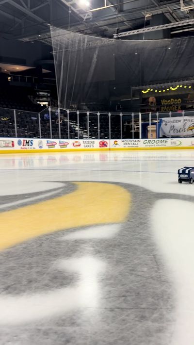 Video post by @bluefcuarena on TikTok