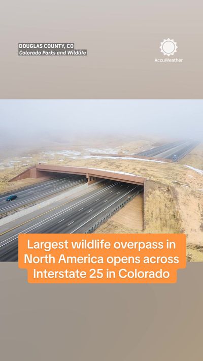 Video post by @accuweather on TikTok