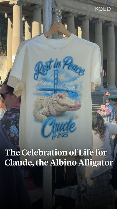 Video post by @kqed on Instagram