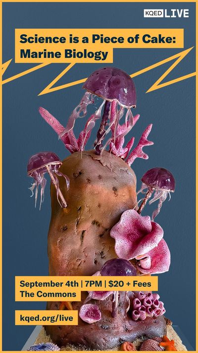 Video post by @kqed on Instagram