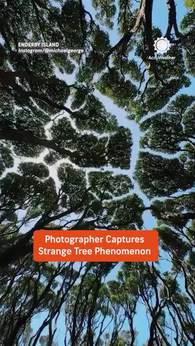 Video post by @accuweather on TikTok