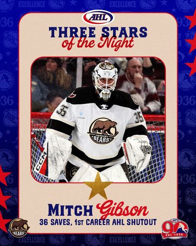 Image post by @TheAHL on Twitter