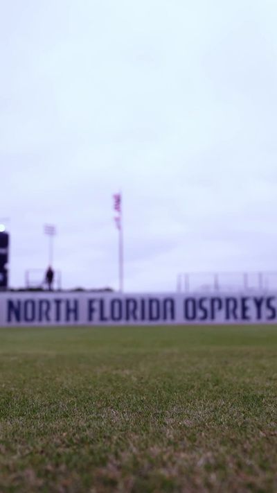 Video post by @AuburnSoftball on Twitter