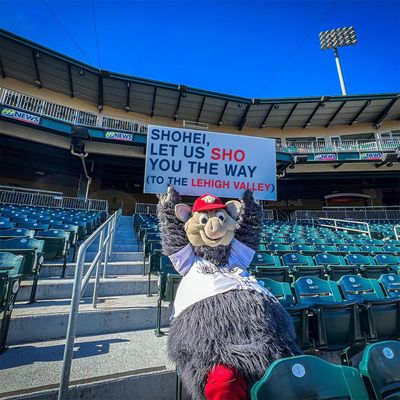 Image post by @IronPigs on Twitter/X