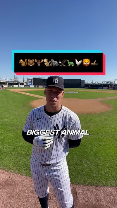 Video post by @yesnetwork on TikTok