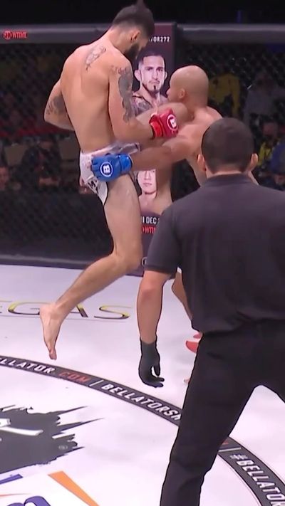 Video post by @bellatormma on Instagram